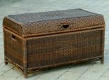 Lewisburg Trunk