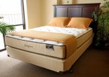 Braden-Plush Mattress