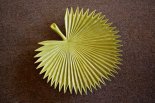 Palm Leaf Wall Art
