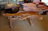Bench - Teak Root
