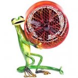 Gecko Fan 